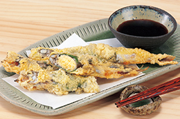 ��������̂������g��