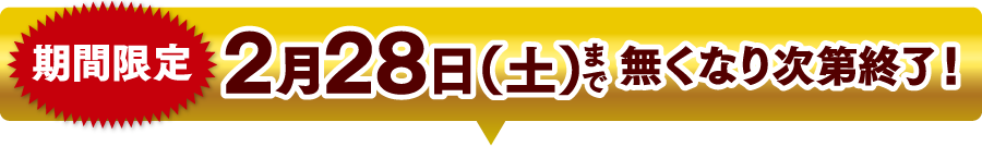 期間限定 2月28日（土）まで無くなり次第終了！