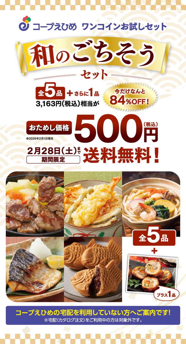 メイン画像：ワンコインお試しセット