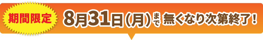 期間限定 8月31日(月)まで無くなり次第終了!