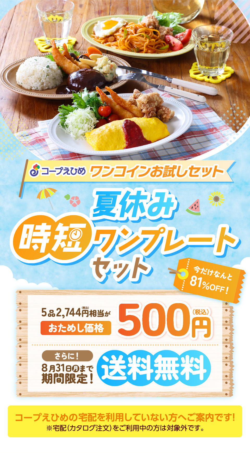 夏休み時短ワンプレートセット 今だけなんと81%OFF！おためし価格500円(税込) 期間限定！送料無料。