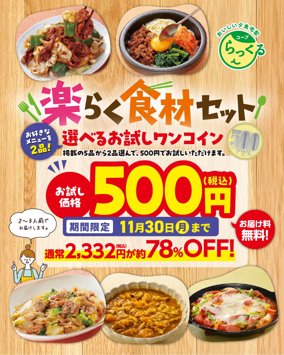楽らく食材セット　選べるお試しワンコイン【お試し価格500円(税込)　78％OFF!】【送料無料】 期間限定11月30日(月)まで